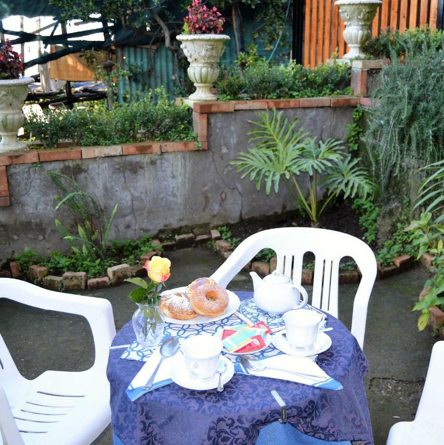 Il Viale Apartment Massa Lubrense Exterior photo