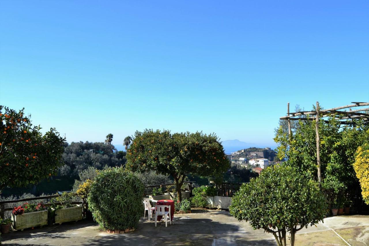 Il Viale Apartment Massa Lubrense Exterior photo