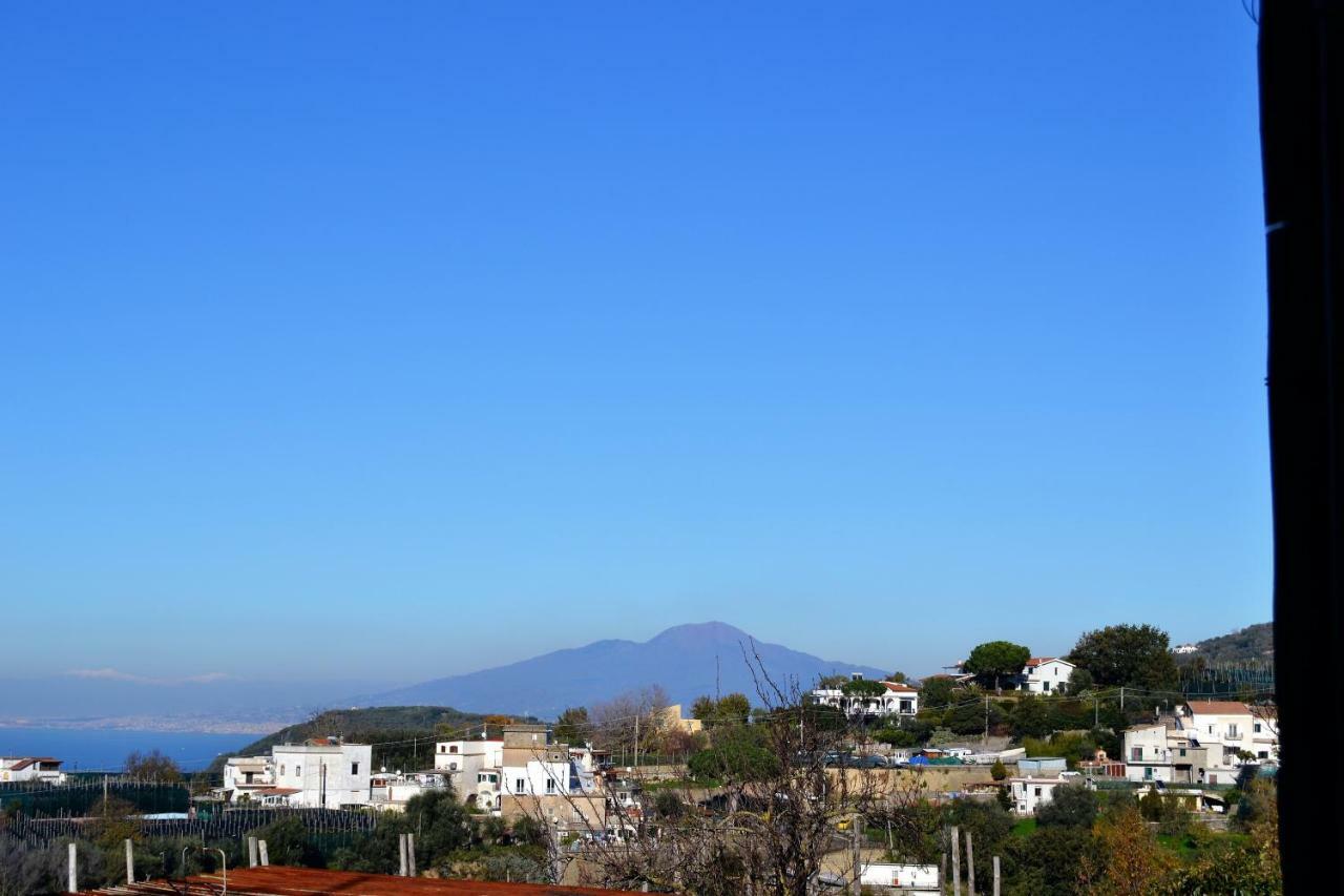 Il Viale Apartment Massa Lubrense Exterior photo