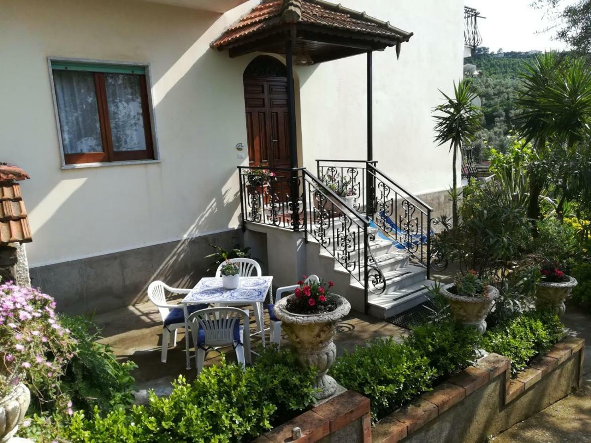 Il Viale Apartment Massa Lubrense Exterior photo