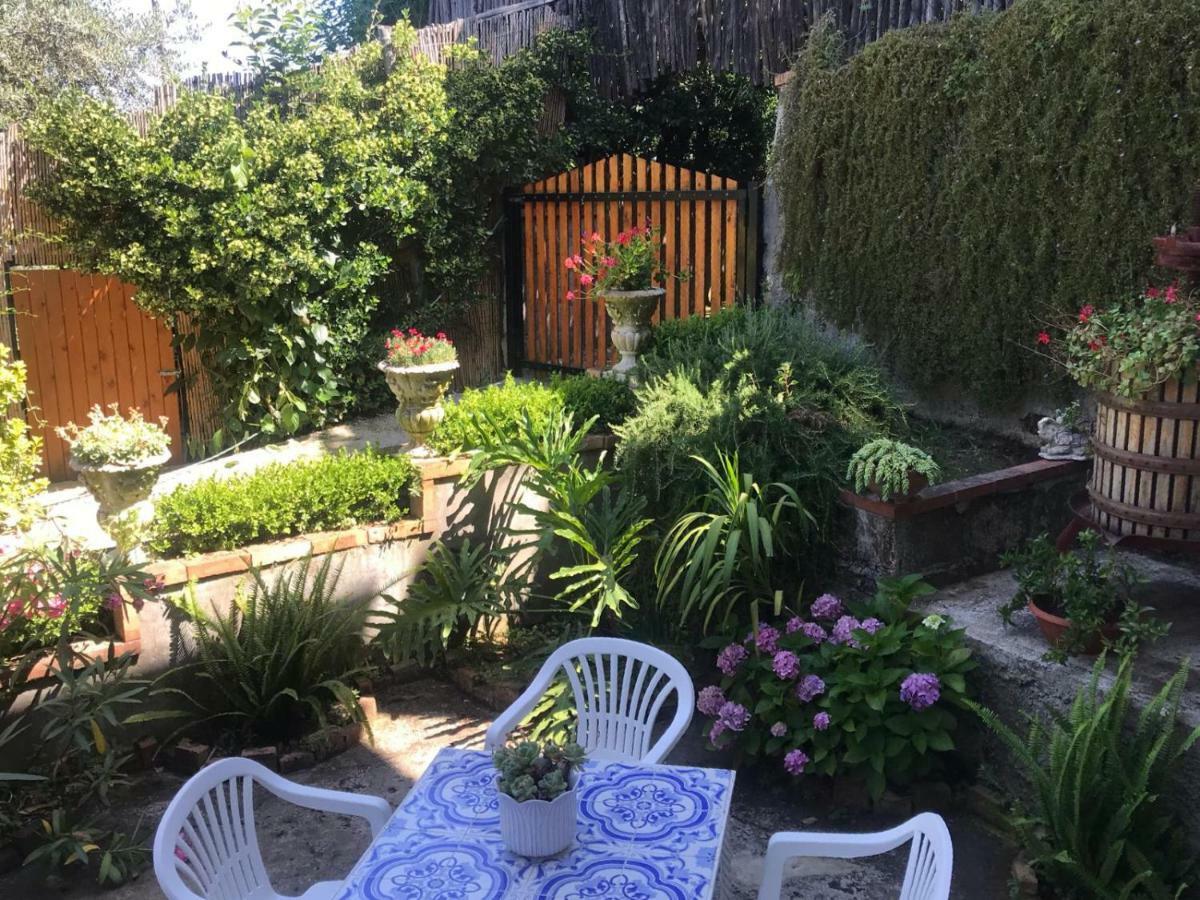 Il Viale Apartment Massa Lubrense Exterior photo